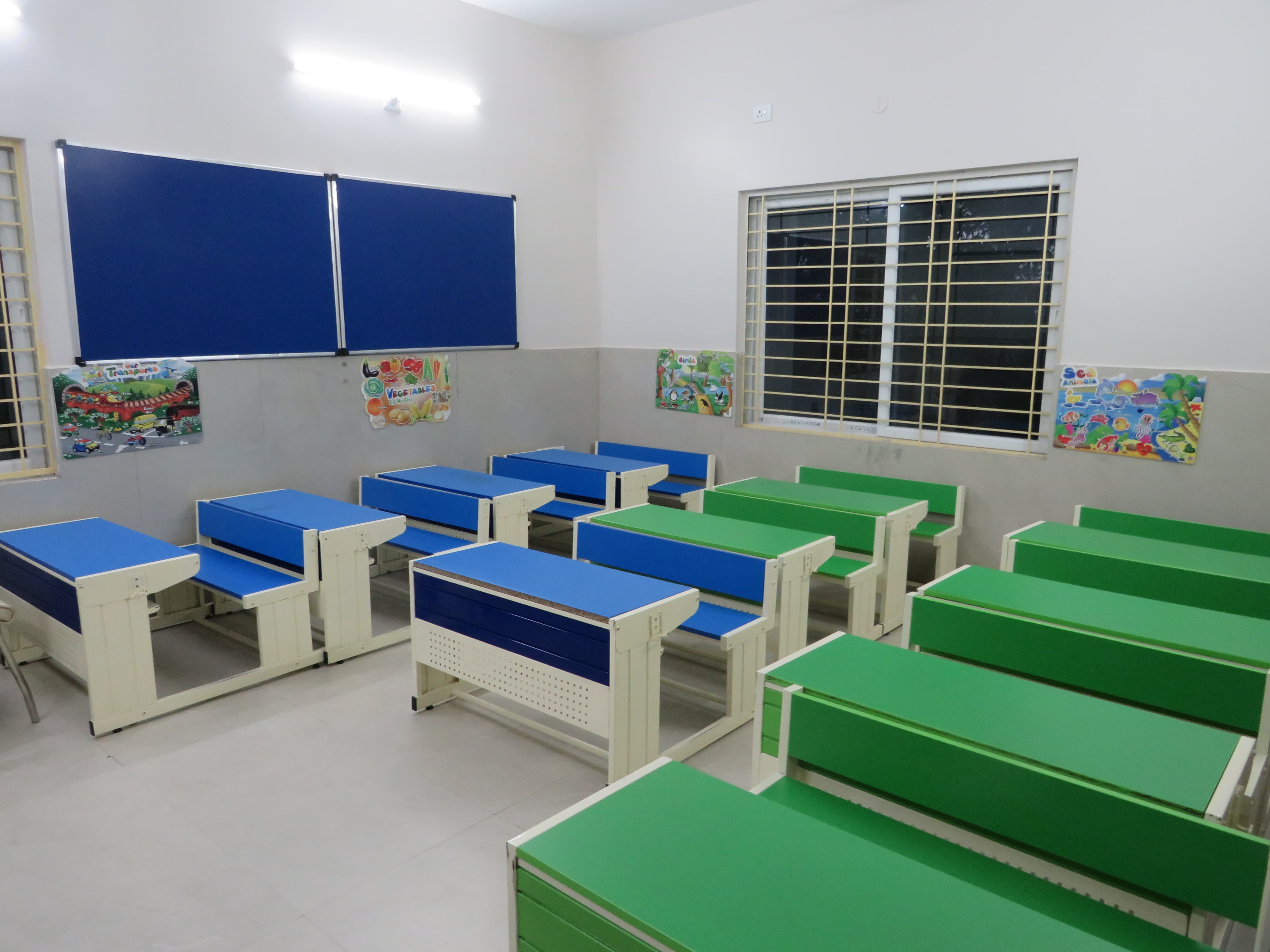 Primary School Program